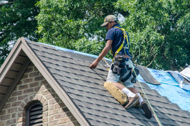 Best Roof Waterproofing Services  in Warsaw, MO